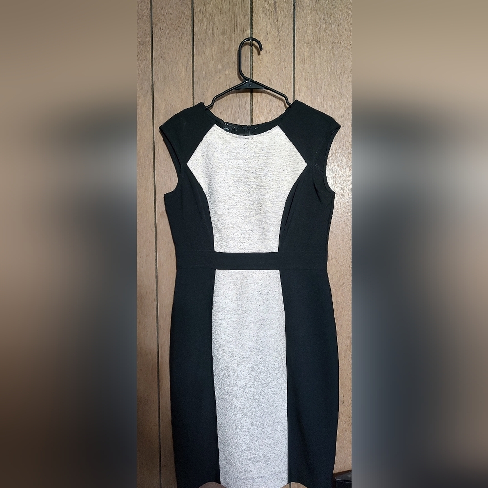 Metaphor Dress